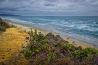 Del Mar Beach 